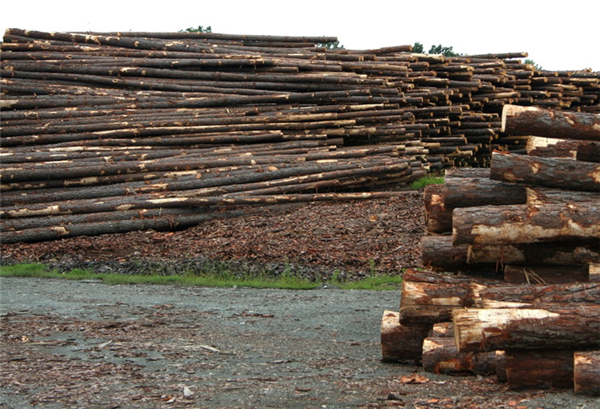 国内木材交易市场有哪些，购买木材的流程分几步
